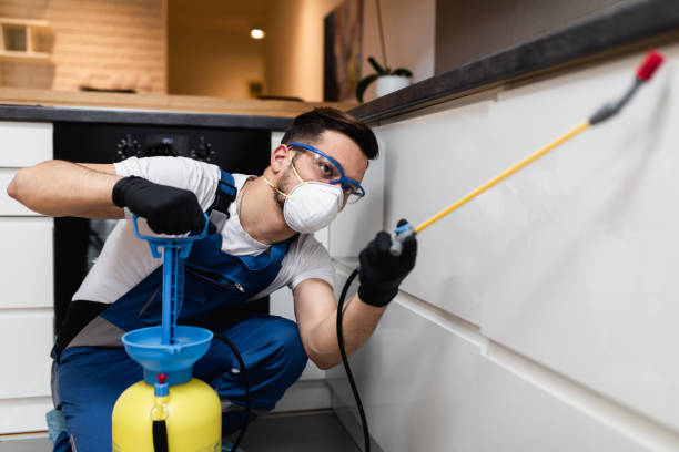 Best Ant Control Services  in Holly, MI