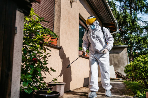 Best Best Pest Control Companies  in Holly, MI