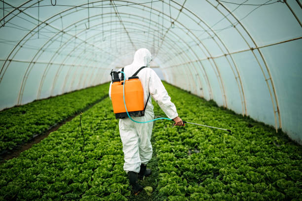 Best Pest Removal Services  in Holly, MI