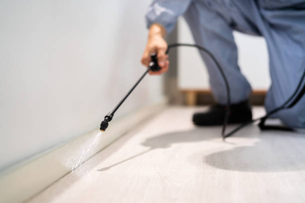 Best Pest Prevention Services  in Holly, MI