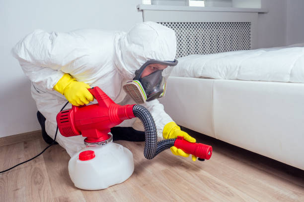 Best Pest Control Near Me  in Holly, MI