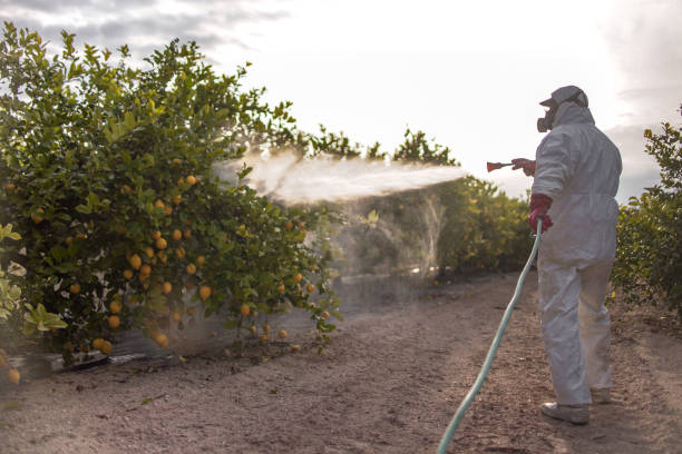 Best Wasp Removal Services  in Holly, MI