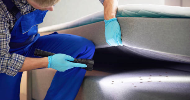 Trusted Holly, MI Pest Control Experts