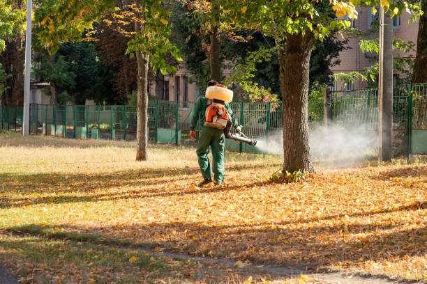 Best Bird Control  in Holly, MI